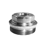 1463461306 — Bujão da bomba VE com rosca