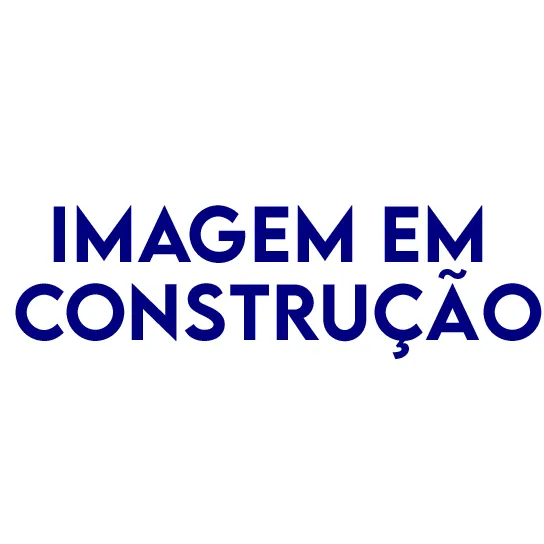 410.40.001 — Reparo da bomba XPI DC13