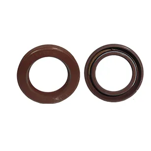 F00R0P0521 30.802.003 — Retentor eixo excentrico BBA alta press. CP3